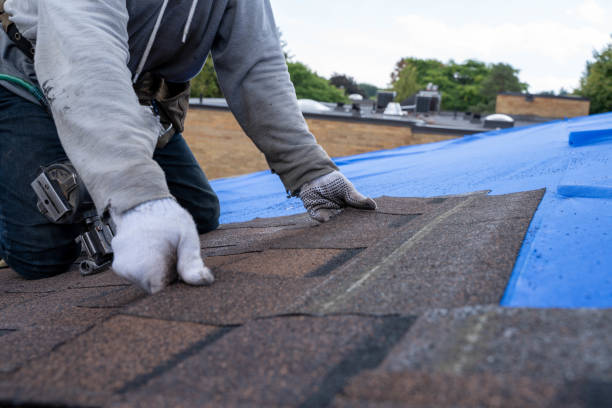 Roof Waterproofing Services in Hawley, MN