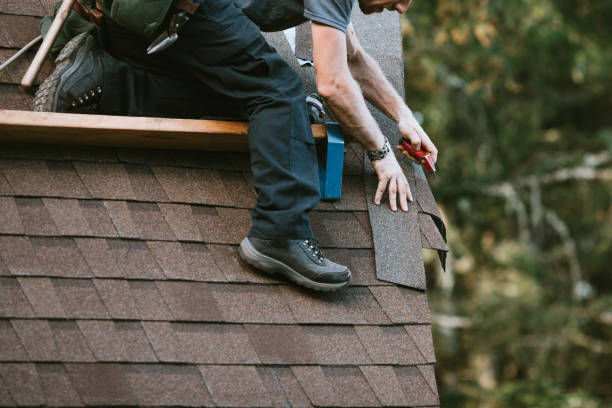 Best Roof Maintenance Services  in Hawley, MN